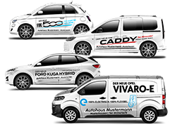 Vorführwagen – Modellbezogen