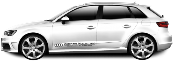 Audi Classic-Line 02