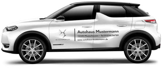 DS Automobiles Basic-Line 17 