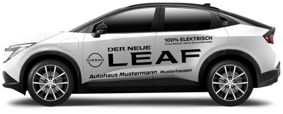 Nissan Leaf ECO 