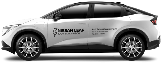 Nissan Leaf MINI 