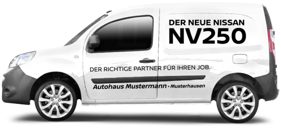 NV250 ECO 
