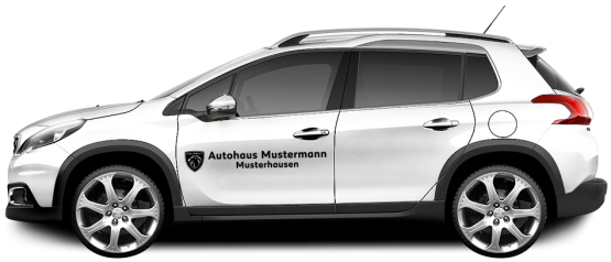 Peugeot Basic-Line 05 