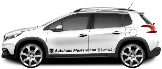 Peugeot Basic-Line 08