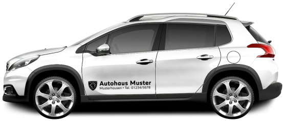 Peugeot Basic-Line 10 