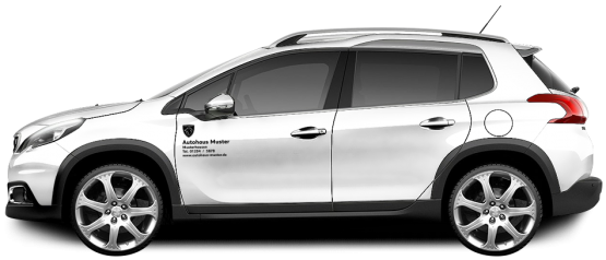 Peugeot Basic-Line 12 