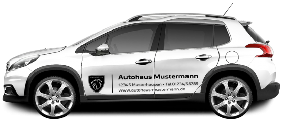 Peugeot Basic-Line 17 