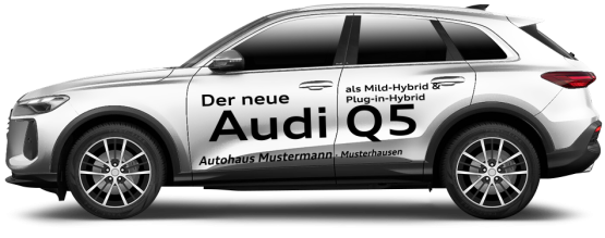 Audi Q5 ECO 