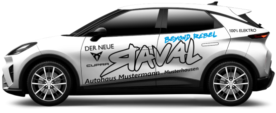 SIGNLINE Automotive Promotion | Raval | online kaufen