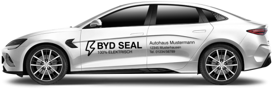 BYD Seal MINI 
