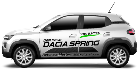 Dacia Spring 01 