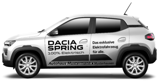 Dacia Spring 02 