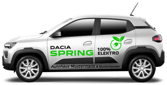 Dacia Spring 04