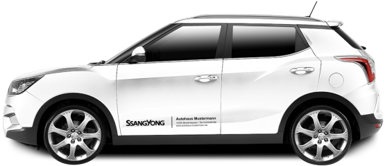 SsangYong Basic-Line 15 