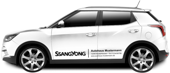 SsangYong Basic-Line 17