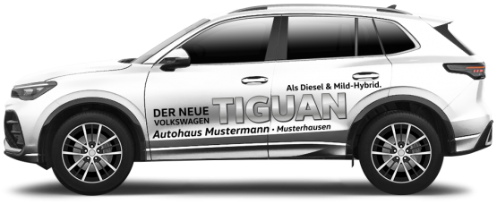 Volkswagen Tiguan 04 