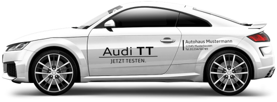 Audi TT MINI 