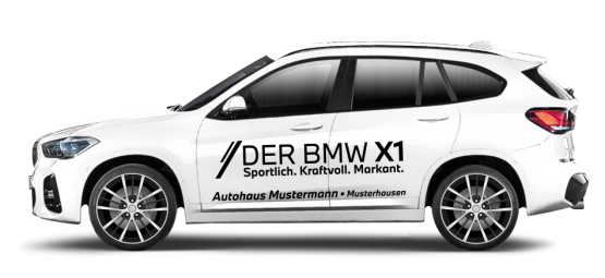 BMW X1 ECO 