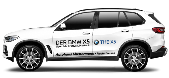 BMW X5 01 