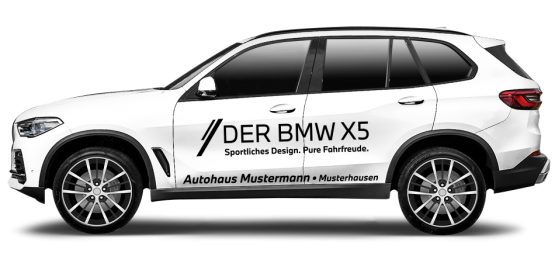 BMW X5 ECO 