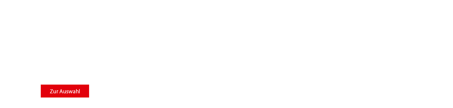 Slide 81 - Logo Aufkleber 2023
